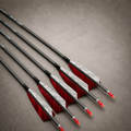 12 PCS Flecha Carbono Hunter Pro 32" – Spine 300 a 1000 | Pena Natural de Peru